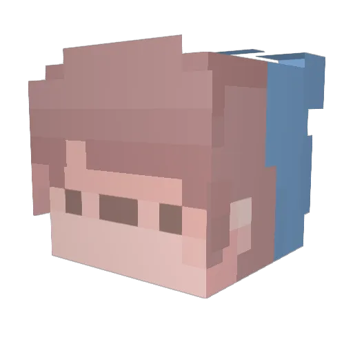 BlueDuck6565 Minecraft avatar head, 3D render