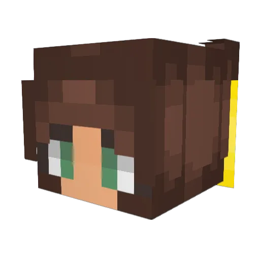 BlueDuck_007 Minecraft avatar head, 3D render