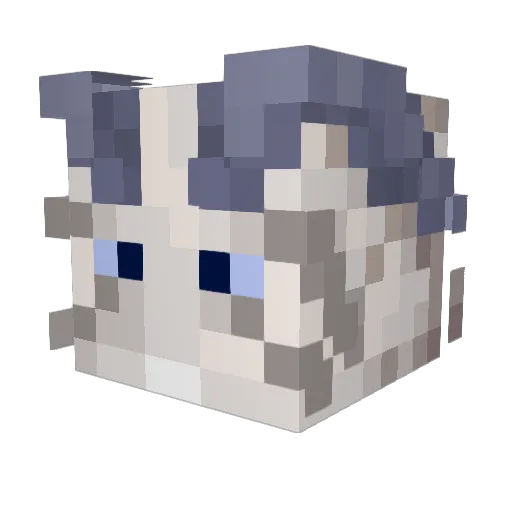 BlueFalcon001 Minecraft avatar head, 3D render