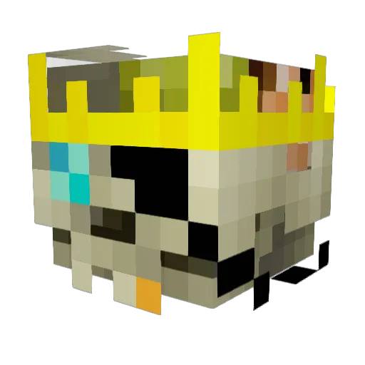 BlueFlame0 Minecraft avatar head, 3D render