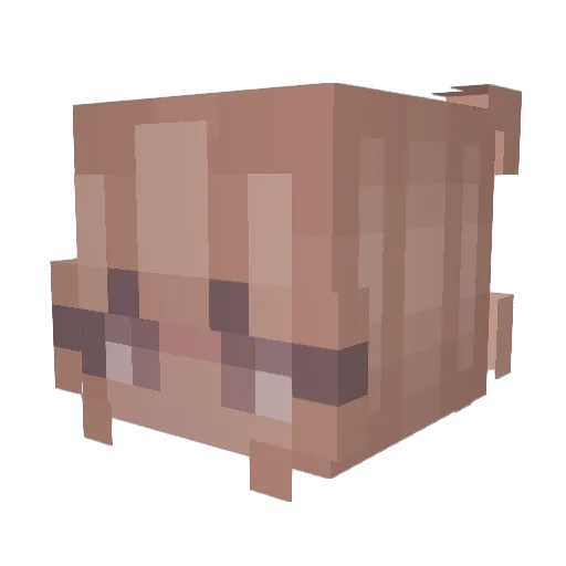 BlueFlamingWold Minecraft avatar head, 3D render