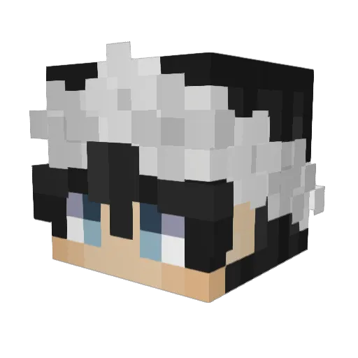 BlueFlower1245 Minecraft avatar head, 3D render