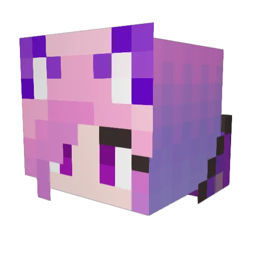 BlueFoxglove Minecraft avatar head, 3D render