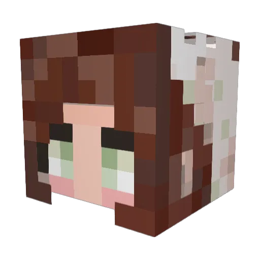 BlueGamer1119 Minecraft avatar head, 3D render
