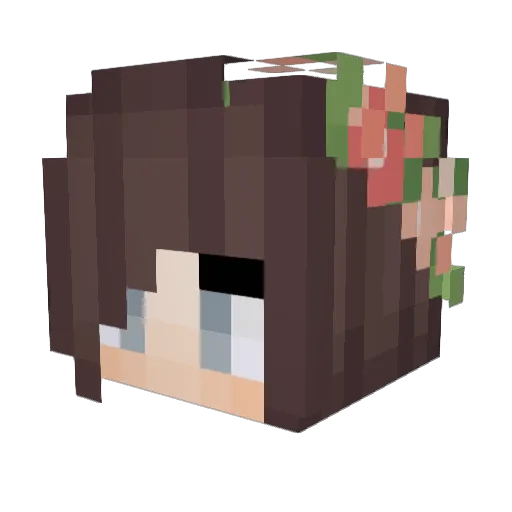 BlueGirl_0 Minecraft avatar head, 3D render