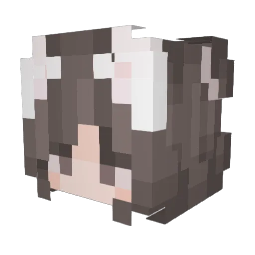 BlueGrass18033 Minecraft avatar head, 3D render