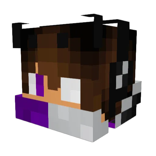 BlueHood022 Minecraft avatar head, 3D render