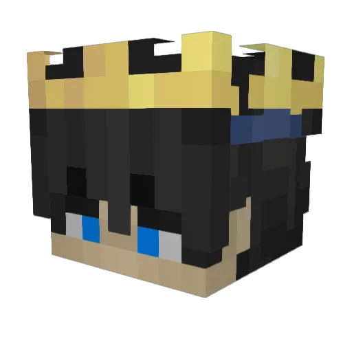 BlueIceDragon20 Minecraft avatar head, 3D render
