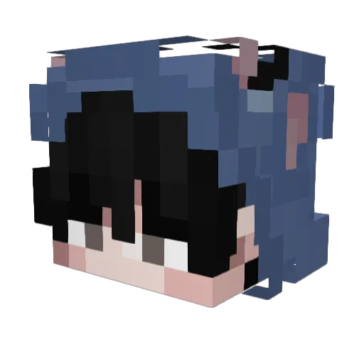 BlueIsTrue999 Minecraft avatar head, 3D render