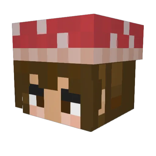 BlueJWay Minecraft avatar head, 3D render