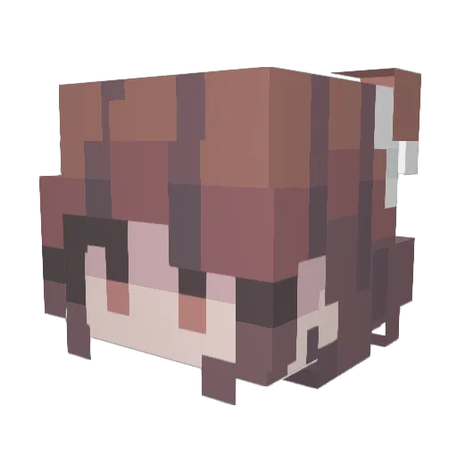 BlueJay2006 Minecraft avatar head, 3D render
