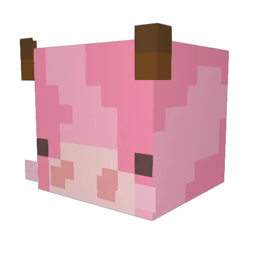 BlueJay249 Minecraft avatar head, 3D render