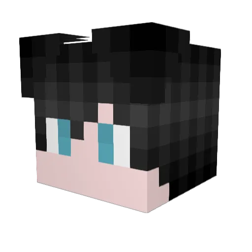 BlueJay276 Minecraft avatar head, 3D render