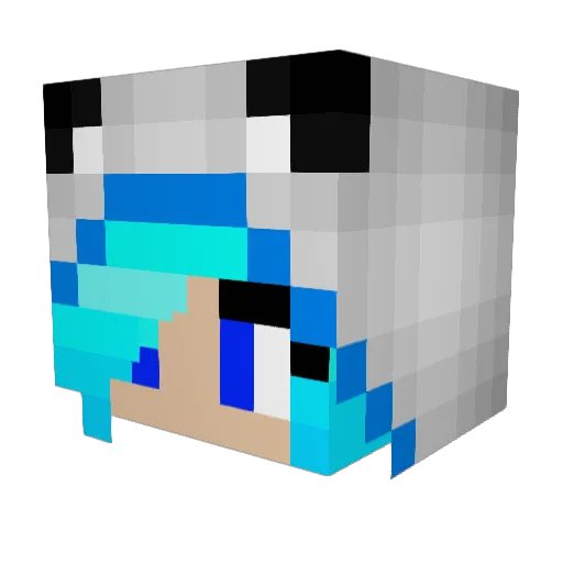 BlueJay353 Minecraft avatar head, 3D render