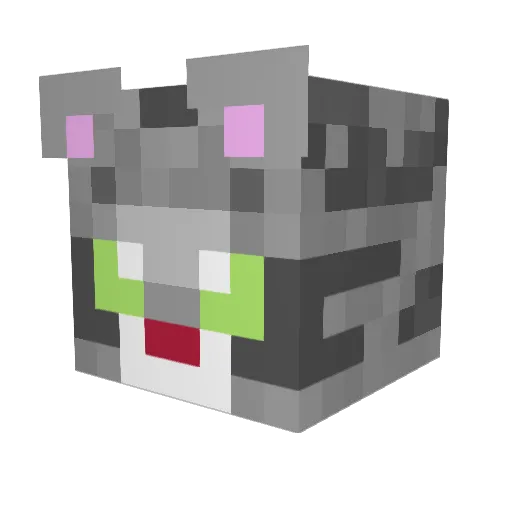 BlueJayBlaze Minecraft avatar head, 3D render