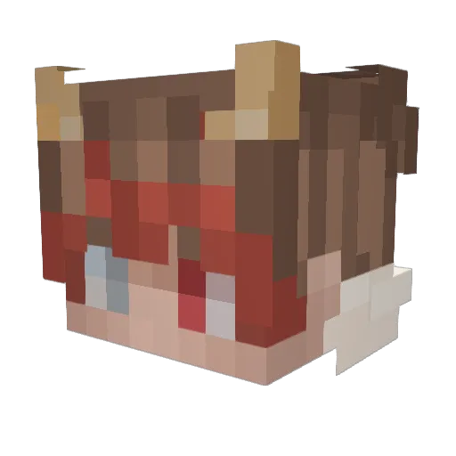BlueJay_08 Minecraft avatar head, 3D render