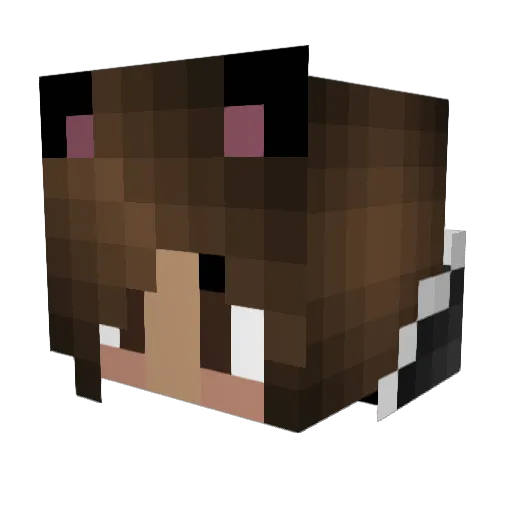 BlueKatYT Minecraft avatar head, 3D render