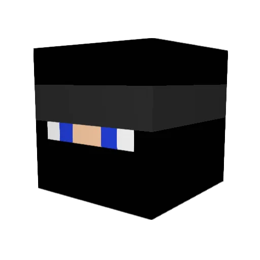 BlueLightDelight Minecraft avatar head, 3D render