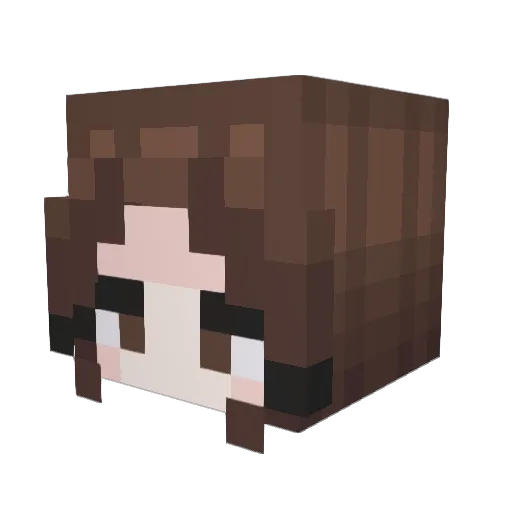 BlueLightNo1 Minecraft avatar head, 3D render
