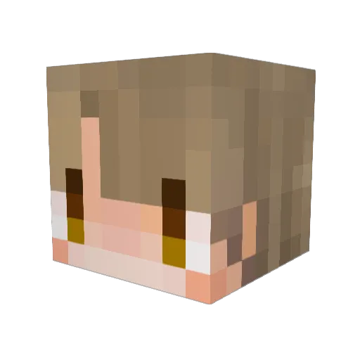 BlueLine002 Minecraft avatar head, 3D render