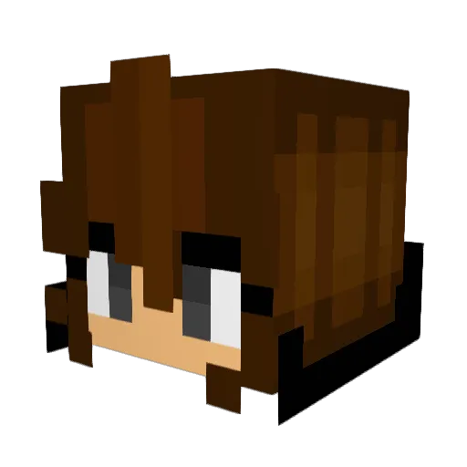 BlueLove1677 Minecraft avatar head, 3D render