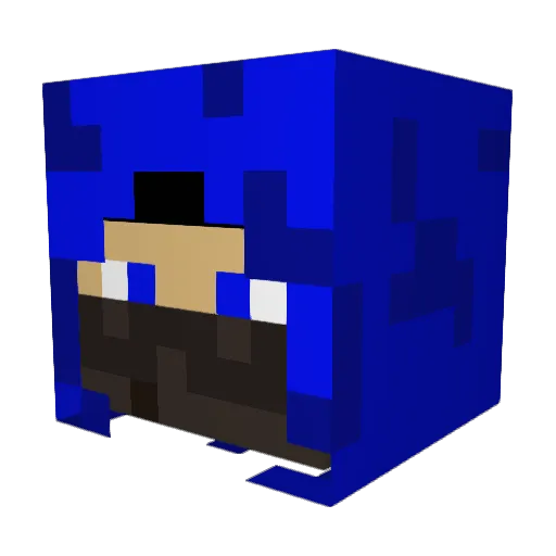 BlueNinjaPanther Minecraft avatar head, 3D render