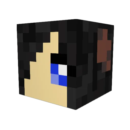 BlueNinjya Minecraft avatar head, 3D render