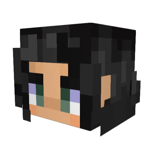 BlueOrangeslel Minecraft avatar head, 3D render