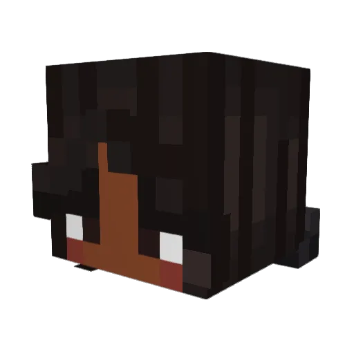 BlueOrca2468 Minecraft avatar head, 3D render
