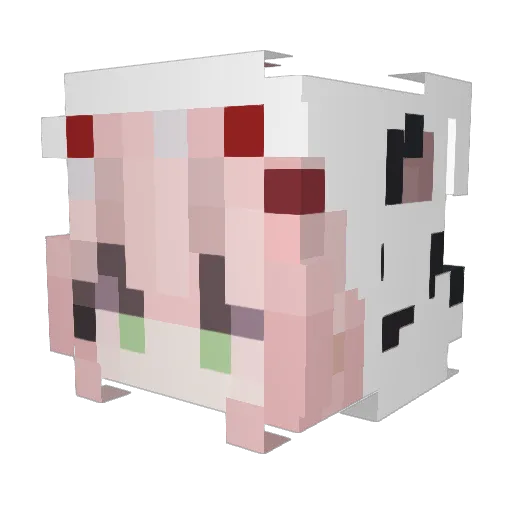 BluePaladin533 Minecraft avatar head, 3D render