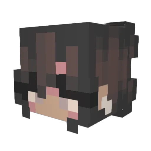 BluePearl10 Minecraft avatar head, 3D render