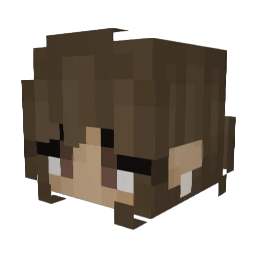 BluePhoenix19 Minecraft avatar head, 3D render