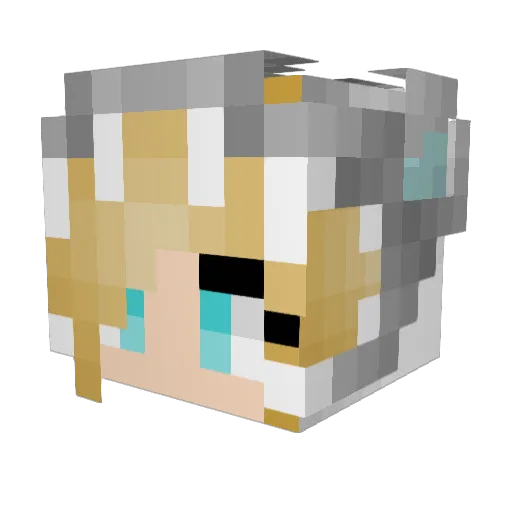 BluePiggy67 Minecraft avatar head, 3D render