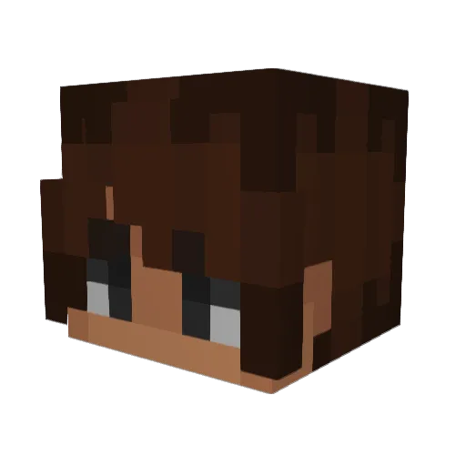 BlueRaven2222 Minecraft avatar head, 3D render