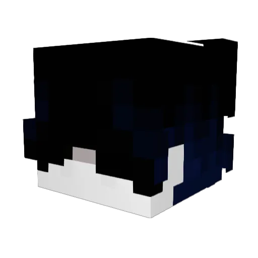 BlueShulkee Minecraft avatar head, 3D render