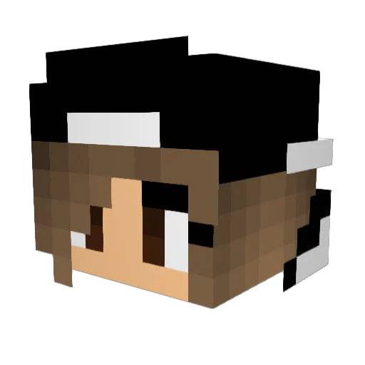BlueSky1116 Minecraft avatar head, 3D render