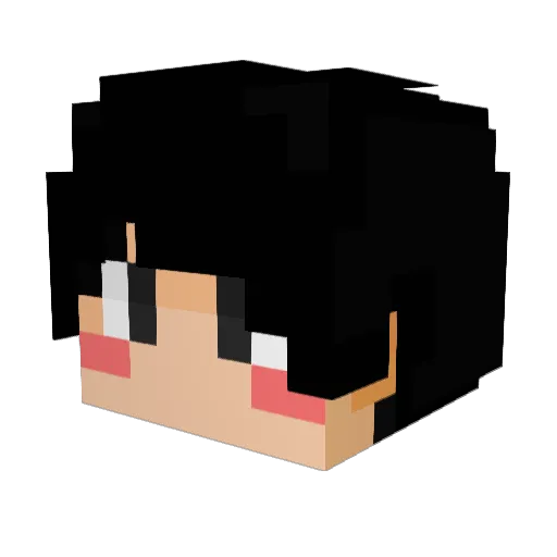BlueSky49 Minecraft avatar head, 3D render