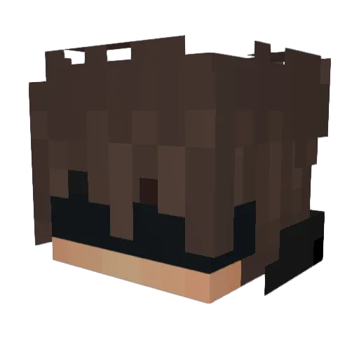 BlueSkyLight8 Minecraft avatar head, 3D render