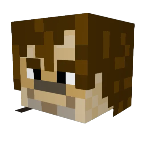 BlueSlime21 Minecraft avatar head, 3D render