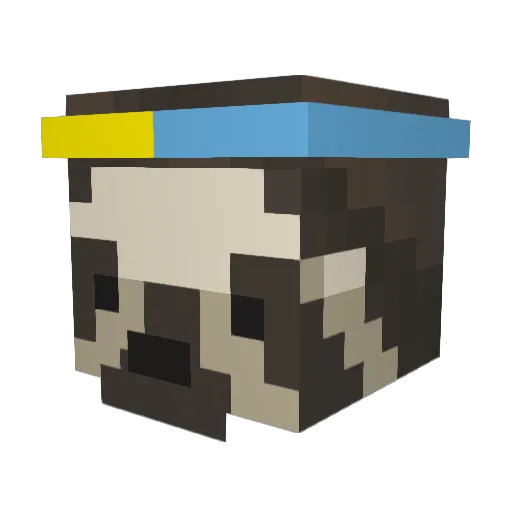 BlueSloth2012 Minecraft avatar head, 3D render
