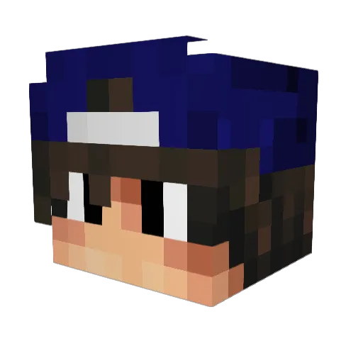 BlueSnow3113 Minecraft avatar head, 3D render