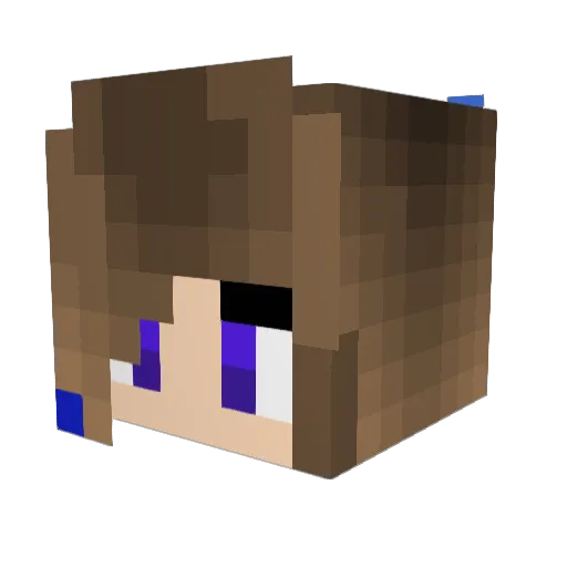 BlueStar214 Minecraft avatar head, 3D render