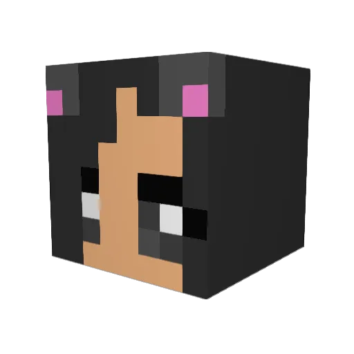 BlueStarSpirit Minecraft avatar head, 3D render