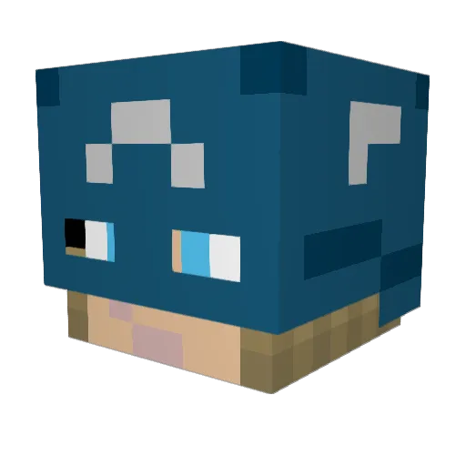 BlueSupernova99 Minecraft avatar head, 3D render