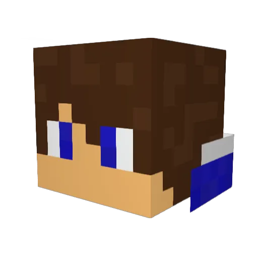 BlueSushi1 Minecraft avatar head, 3D render