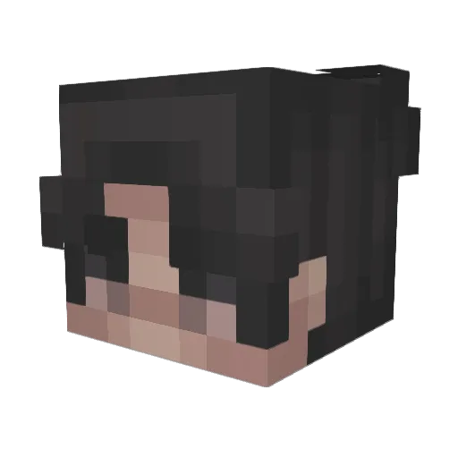 BlueTheSnipper Minecraft avatar head, 3D render