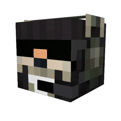 BlueTiger3398 Minecraft avatar head, 3D render