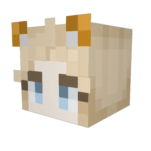 BlueTiger912 Minecraft avatar head, 3D render