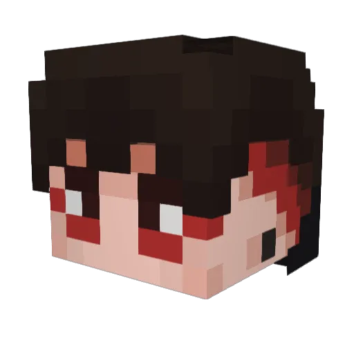 BlueTortoise456 Minecraft avatar head, 3D render