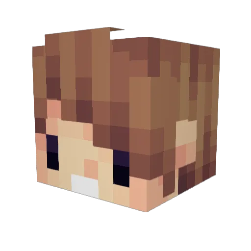 BlueTropical Minecraft avatar head, 3D render